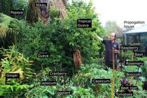 idée de blog permaculture