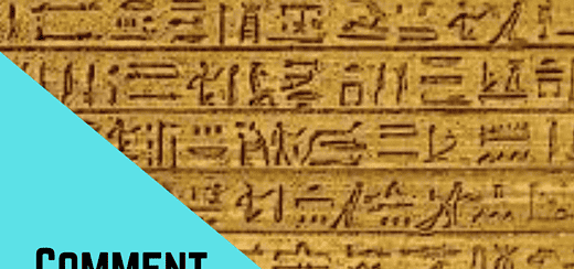 Comment devenir un expert de votre thématique - article