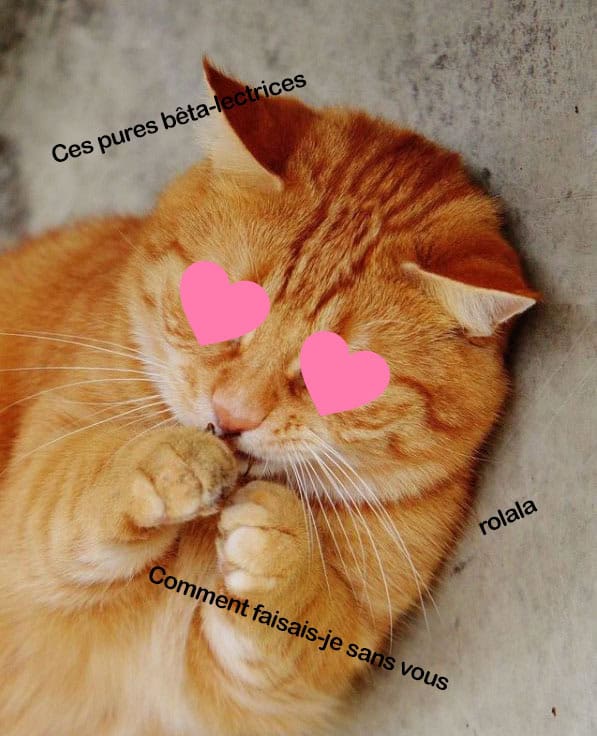 super bêta-lectrices